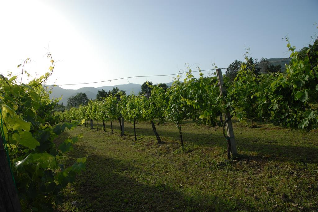 Tenuta Torellone San Potito Sannitico Buitenkant foto